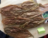 IMG_5713.jpeg