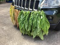 IMG_0973.jpeg