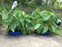 IMG_0974.jpeg