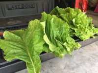 IMG_0977.jpeg