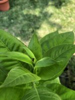 IMG_5730.jpeg