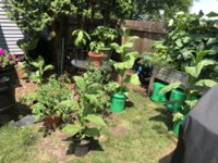 IMG_5734.jpeg