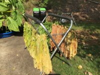 IMG_0989.jpeg