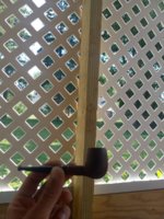 20230720_152944.jpg 20230720_152944.jpg