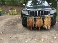 IMG_0995.jpeg