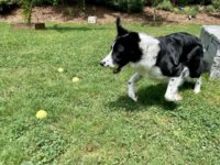 IMG_3602.jpeg