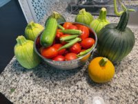 IMG_3623.jpeg