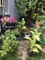 IMG_5767.jpeg