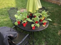 IMG_5769.jpeg