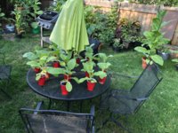 IMG_5770.jpeg