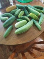 20230723_115407.jpg