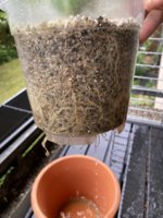 IMG_5885.jpeg IMG_5885.jpeg