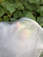 IMG_5779.jpeg