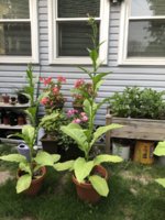 IMG_5776.jpeg