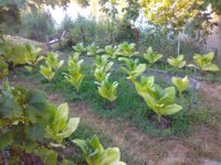 00. VA-2021_20210710_070645.jpg 00. VA-2021_20210710_070645.jpg