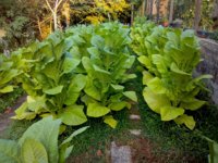 01. VA_20230722_071333.jpg 01. VA_20230722_071333.jpg