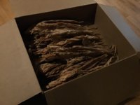 IMG_1008.jpeg
