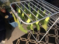 IMG_5791.jpeg