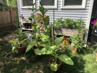 IMG_5792.jpeg