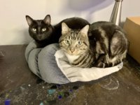 IMG_0657.jpeg