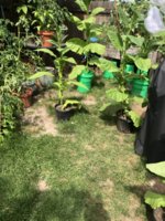 IMG_5795.jpeg