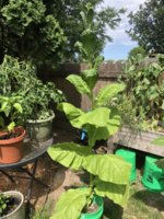 IMG_5804.jpeg