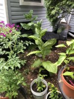 IMG_5813.jpeg