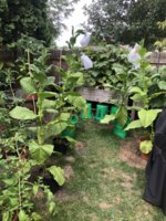 IMG_5811.jpeg