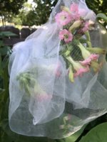 IMG_5808.jpeg