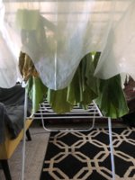 IMG_5822.jpeg IMG_5822.jpeg