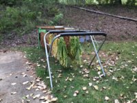 IMG_1028.jpeg