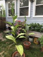 IMG_5845.jpeg IMG_5845.jpeg