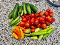 Veg.jpg
