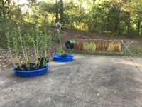 IMG_1034.jpeg