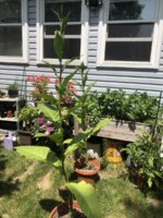 IMG_5879.jpeg IMG_5879.jpeg