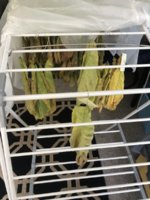 IMG_5877.jpeg IMG_5877.jpeg