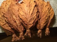 IMG_1044.jpeg