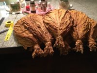 IMG_1043.jpeg