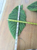 PXL_20230815_134052899.jpg