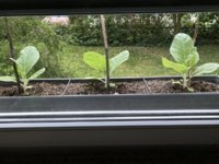IMG_6064.jpeg