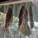 20230817_091625.jpg