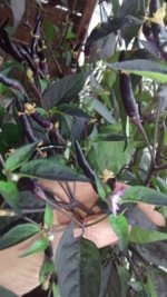IMG_20230823_173919161[1].jpg
