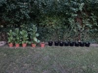 IMG_6138.jpeg