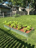planter1.jpg