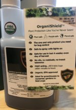 IMG_5978.jpeg IMG_5978.jpeg