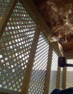 20230829_073511.jpg 20230829_073511.jpg