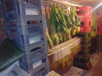 02. Cellar_20230907_095852.jpg 02. Cellar_20230907_095852.jpg