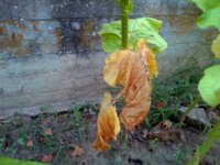 05. Bursa_20230813_064300.jpg 05. Bursa_20230813_064300.jpg