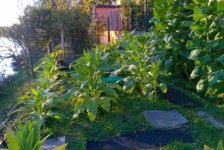 06. 2016_9 settimane 2° Racc_2016-11-12.jpg 06. 2016_9 settimane 2° Racc_2016-11-12.jpg