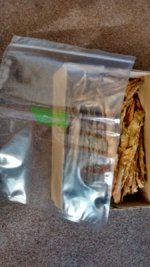 IMG_20230907_155921261_HDR[1].jpg